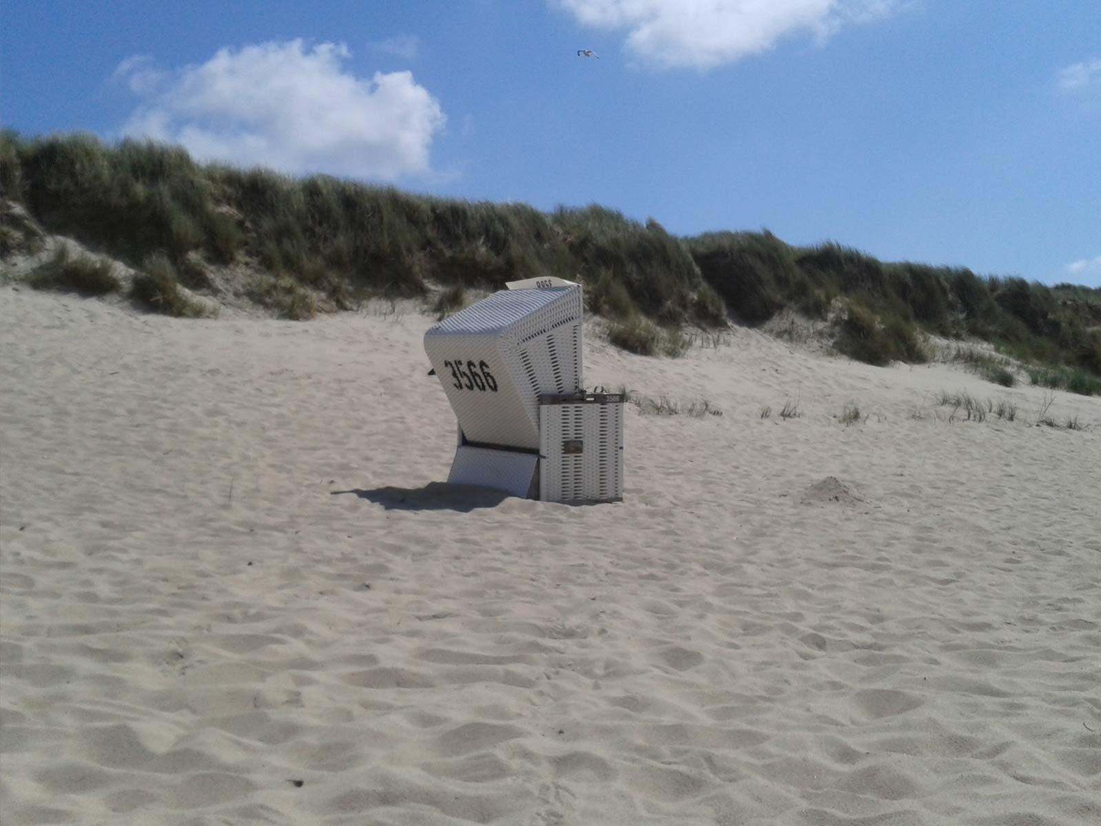 Sylt-Impressionen1